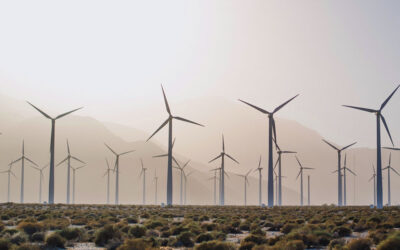 Carbon Markets & Offsetting