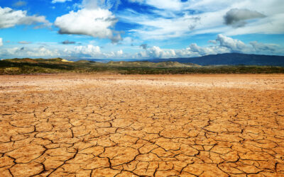 Global Warming and Covid-19