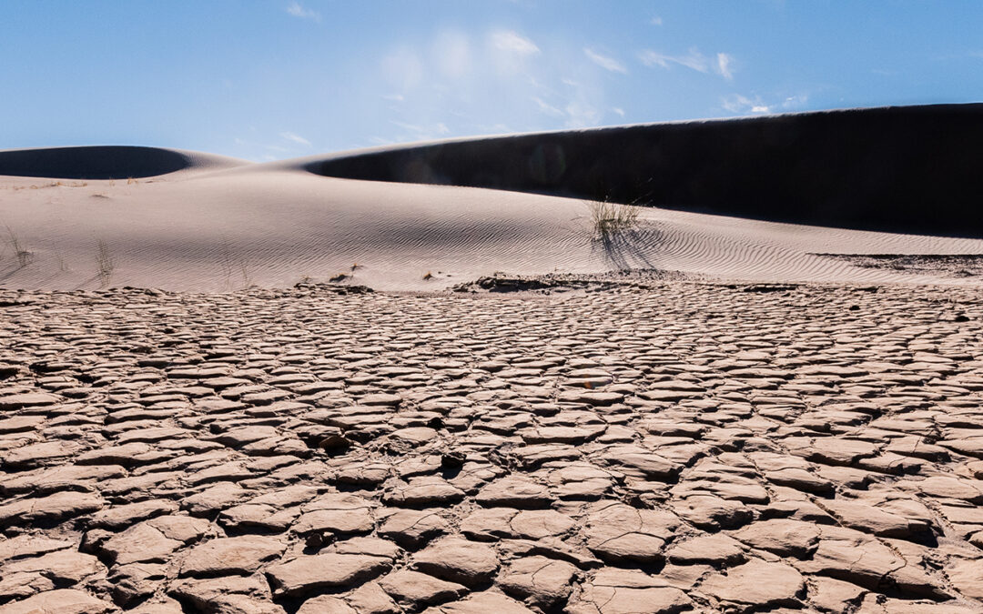 Who’s taking SDGs, ESG and net-zero seriously?