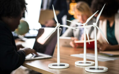 Global Warming and Covid-19 – the role of Governments and the Private Sector in helping to prevent further pandemics by limiting Climate Change