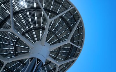 Gulf states commit to ‘Net-zero’