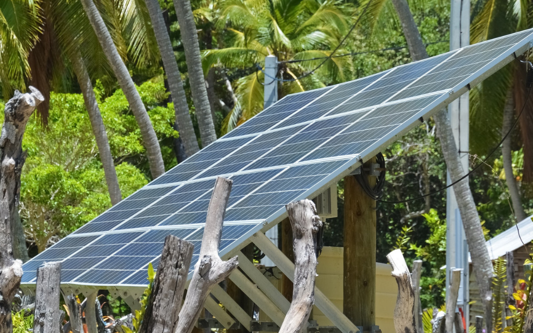 Not all carbon credits are created equal